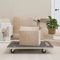 Transportavimo vežimėliai, 2vnt., 80x55x11,5cm, stačiakampiai