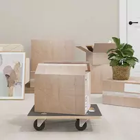 Transportavimo vežimėliai, 2vnt., 50x35x11,5cm, stačiakampiai