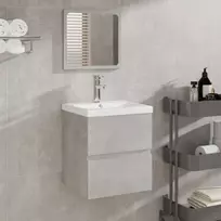 Praustuvo spintelė su praustuvu ir veidrodžiu, betono pilka