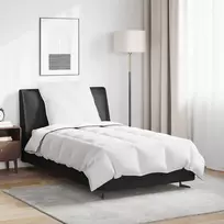 Žiemos antklodė su pagalve 2 pcs Balta Plunksna