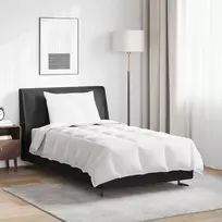 2-in-1 Antklodė su pagalve 2 pcs Balta Plunksna