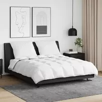 Žiemos antklodė su pagalve 3 pcs Balta Plunksna