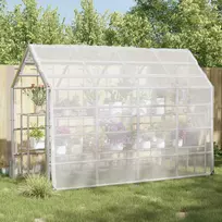 Augalų uždangalas Skaidrus 3 x 4 m PE