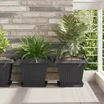 Augalų vazonai 24 pcs Juoda 33 x 33 x 26 cm Plastmasė