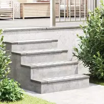 Laiptų danga 10 pcs Sidabro 60 x 18 x 2,5 cm Aliuminis