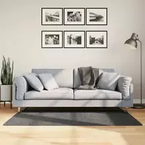 Kilimas IZA, antracito, 80x150cm, trumpi šereliai