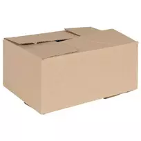 Sulankstoma dėžė 50 pcs Natūrali 30 x 21,5 x 14 cm Kartonas