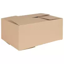 Sulankstoma dėžė 50 pcs Natūrali 35 x 24 x 15 cm Kartonas