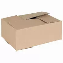 Sulankstoma dėžė 50 pcs Natūrali 25 x 17,5 x 10 cm Kartonas