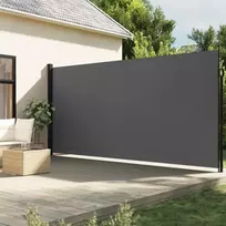 Ištraukiama šoninė markizė, antracito spalvos, 220x300 cm