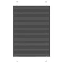 Plisuota žaliuze juoda 100x150 cm audinio plotis 99,4 cm