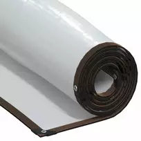Skaidrus brezentas su ąselėmis 2x4 m Polietilenas