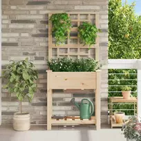 Sodo vazonas Smėlio 71 x 38 x 152 cm Kietasis pušinis medis