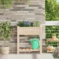 Sodo vazonas Smėlio 71 x 37 x 76,5 cm Kietasis pušinis medis