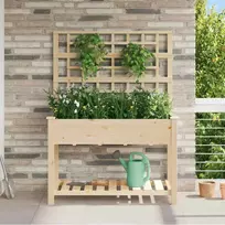 Sodo vazonas Smėlio 115 x 60,5 x 153 cm Kietasis pušinis medis