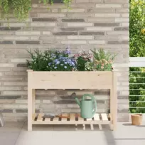 Sodo vazonas Smėlio 115 x 59 x 76,5 cm Kietasis pušinis medis