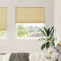Roletas Gamta 150 x 220 cm Bambukas