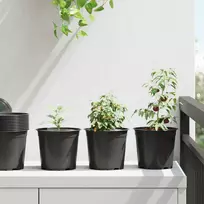 Gėlių vazonas 50 pcs Juoda Ø 15 x 13 cm Plastmasė