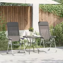 Sulankstomos kempingo kėdės, 4 vnt., pilkos, aliuminis
