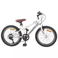 Kalnų Dviratis 20 Colių 6-Speed 5-8 metų amžiaus Balta