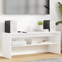 Televizoriaus spintelė Balta 100 x 30 x 40 cm Apdirbta mediena