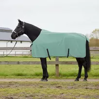 Arklių antklodė Speciali žalia 165 cm Poliesteris