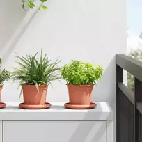 Apvalus gėlių vazonas 24 pcs Raudona plyta Ø 12,5 x 10 cm