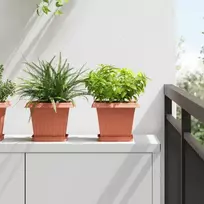 Kvadratinis gėlių vazonas 6 pcs Raudona plyta 20 x 20 x 16 cm