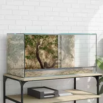 Terariumas su saugykla Skaidrus 80 x 40 x 40 cm Stiklas