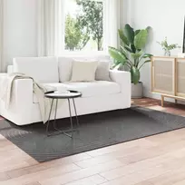 Zoninės kiliminės dangos PALMERAS Antracitas 200 x 140 cm