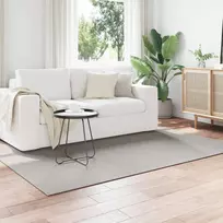 Zoninės kiliminės dangos LUGO Kremas ir pilka 140 x 200 cm