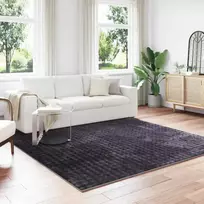 Zoninės kiliminės dangos SIROLO Smėlio 200 x 200 cm Poliesteris