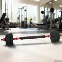 2-in-1 hantelių ir štangos rinkinys 20 kg Juoda ir raudona