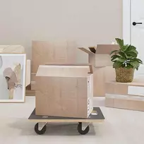Transporto vežimėlis 6 pcs Pilka fanera