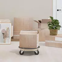 Transporto vežimėlis 6 pcs Pilka fanera