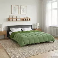 Žiemos antklodė Tikštas Žalia 220 x 240 cm Mikropluoštas