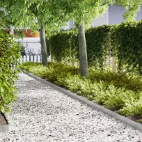 Vejo kraštas 30 pcs Sidabro 100 x 0,05 x 15 cm Cinkuota plienas