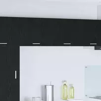 Pakabinama spintelė su saugykla 2 pcs Juodas ąžuolas ir baltas