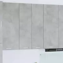 Pakabinama spintelė su saugykla Betono pilka 60 x 31 x 100 cm
