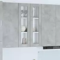Pakabinama spintelė su saugykla Betono pilka 60 x 31 x 100 cm