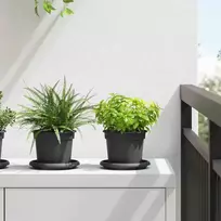 Augalų vazonai 6 pcs Juoda Ø 12,5 x 10 cm Plastmasė