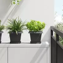 Augalų vazonai 24 pcs Juoda 20 x 20 x 16 cm Plastmasė