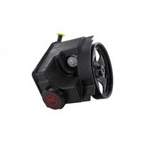 Vairo sistemos hidraulinis siurblys VAICO V42-0421