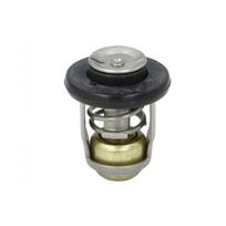 Valties variklio termostatas QUICKSILVER Quicksilver 8M0139434