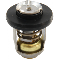 Valties variklio termostatas QUICKSILVER Quicksilver 8M0119207