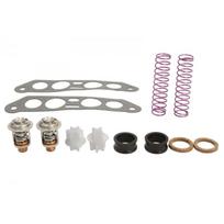 Marine termostato aptarnavimo komplektas SIERRA Johnson/Evinrude V4 Crossflow