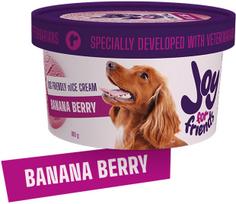 Joy for Friends Banana Berry šunų ledai 100 g N12 | 4751032252689