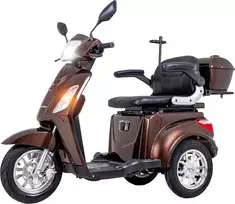 Triratis elektrinis paspirtukas inSPORTline Zorica