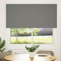 Roletas Blackout smėlio Pilka 160x150 cm Audinio plotis