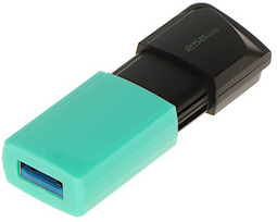 PENDRIVE FD-256 / DTXM-KINGSTON 256GB USB 3.2 Gen 1